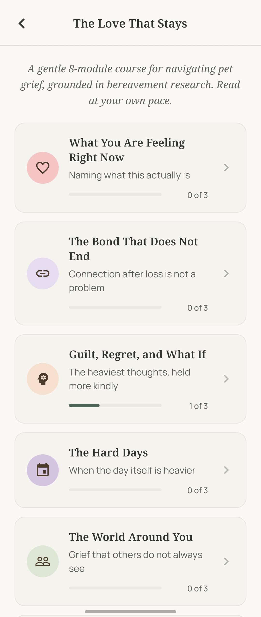 The Love That Stays course with eight modules
